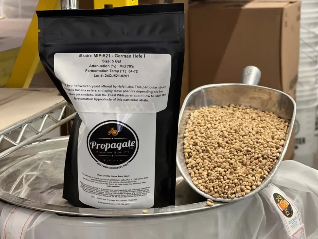 Are you feeling this spring weather? Grab your supplies for a Wheat Beer, a Witbier, or maybe even a White IPA today from Tom's!